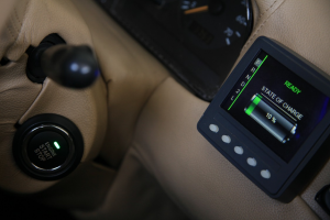 new eagle raptor display installed in a green vehicle in africa